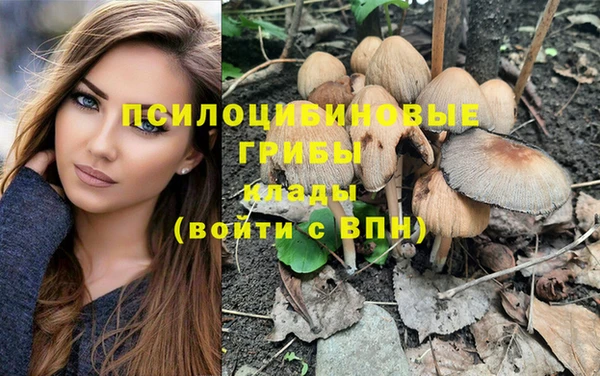 прущий лед Гусев