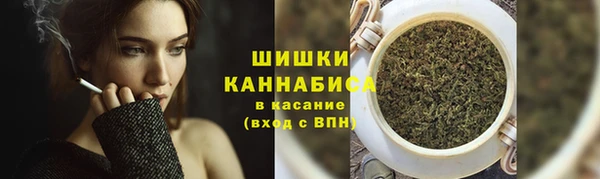 меф Дмитриев