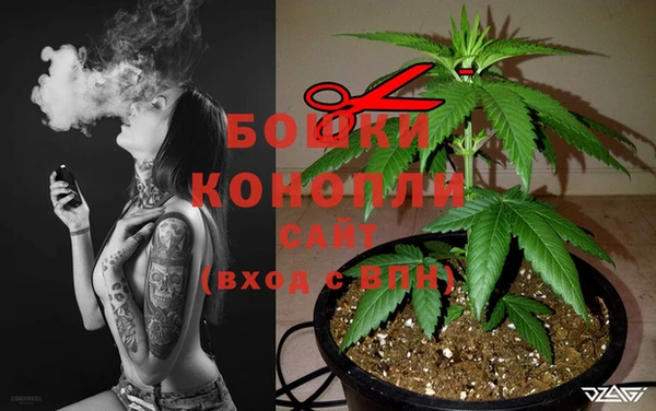 меф Дмитриев