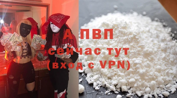PSILOCYBIN Гусь-Хрустальный