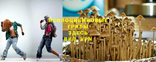 меф Дмитриев