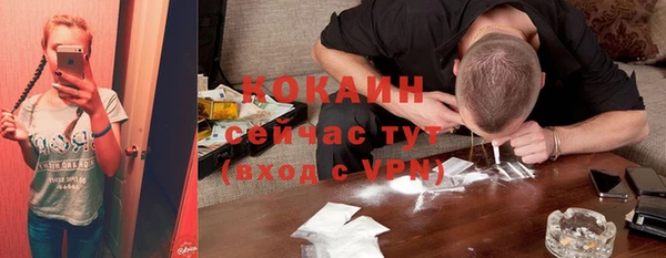 PSILOCYBIN Гусь-Хрустальный