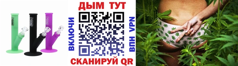 Бошки марихуана THC 21%  blacksprut как войти  Злынка  купить наркоту 